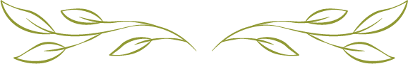Green Leaf Divider - Ornament vector created by freepik